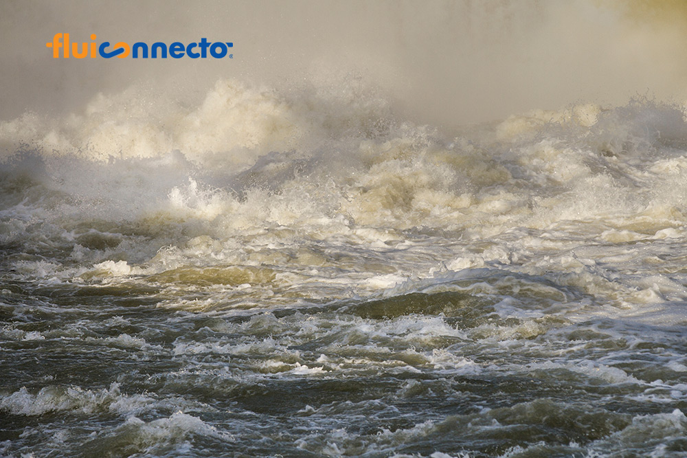 The Emerging Field of Water Hydraulics